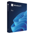 Windows 11 Professional ESD